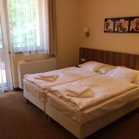 فندق Balaton Colors شيوفوك